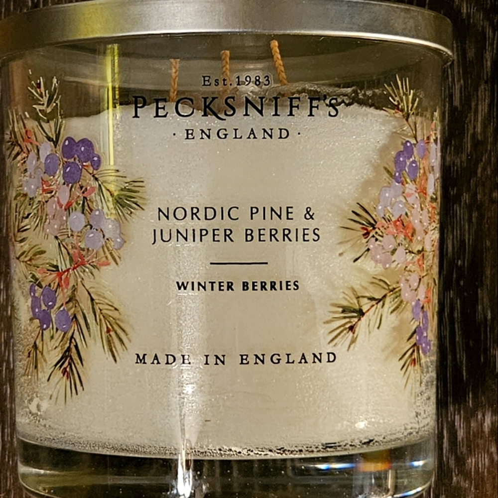 NEW Pecksniff's Nordic Pine & Juniper Berries 3 Wick Candle HUGE